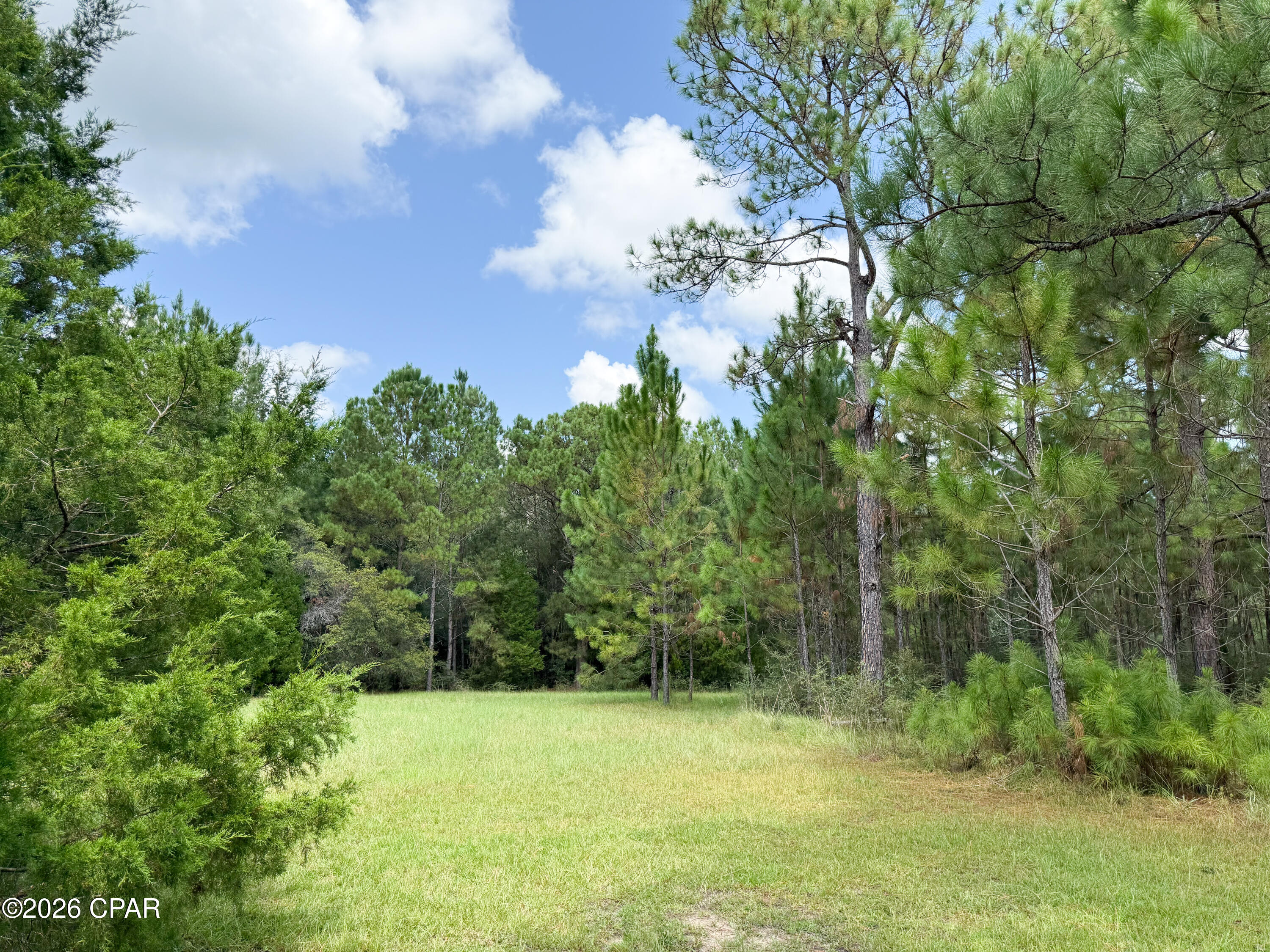 3813 Sand Path Road Bonifay, FL 32425 - Photo 8 of 28 Gallery Image 8