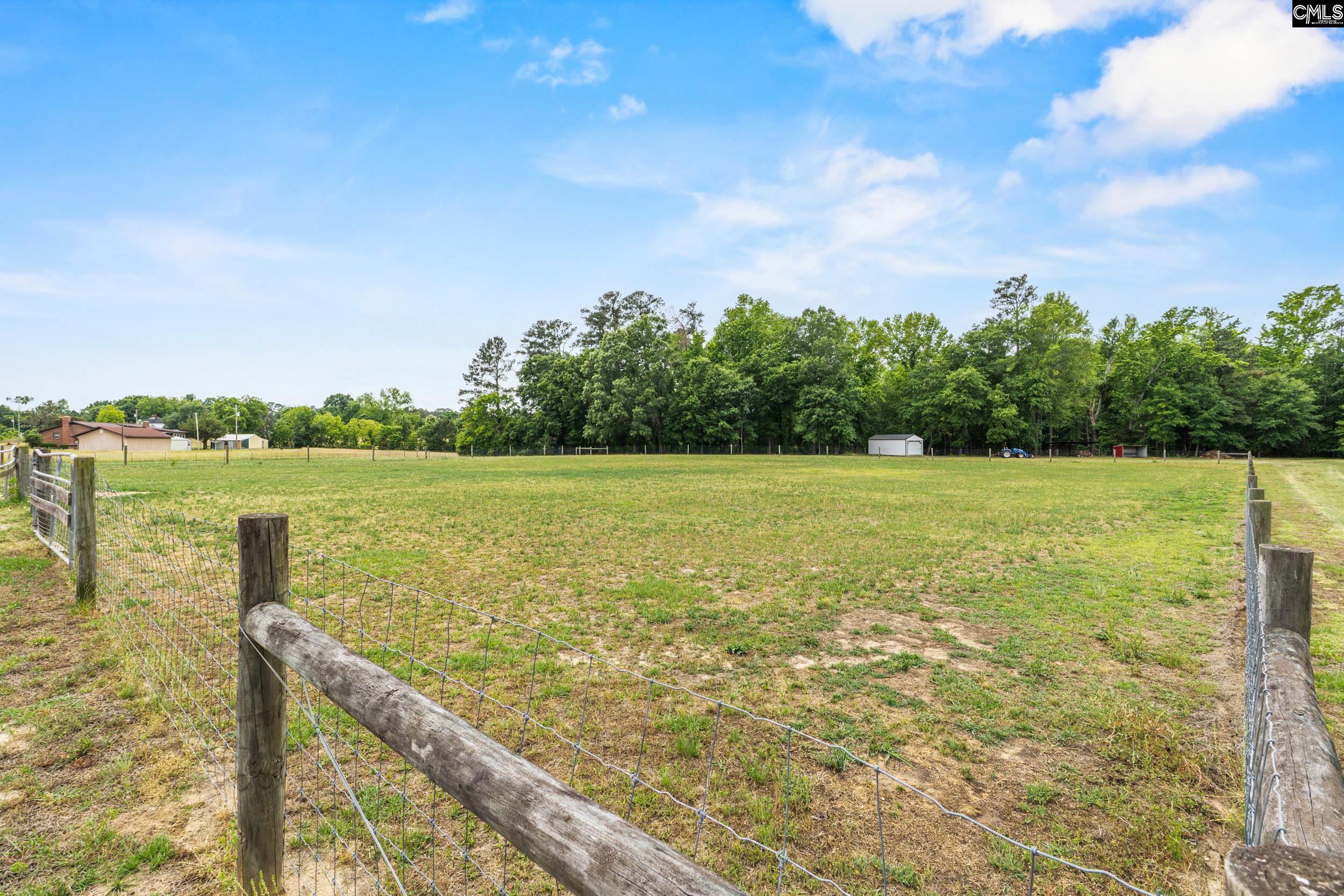 333 Hyler Road Gilbert, SC 29054 - Photo 33 of 41