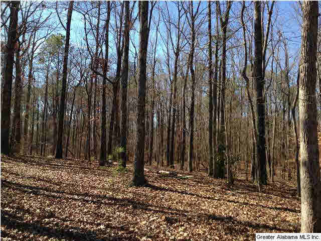 8535 Dunnavant Valley Road Leeds, AL 35094 - Photo 3 of 7