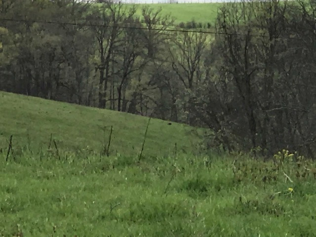 Menzie Bottoms Road Butler, KY 41006 - Photo 3 of 39 Gallery Image 3