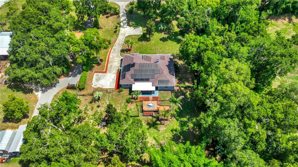 36510 St Joe Road Dade City, FL 33525 - Photo 42 of 47