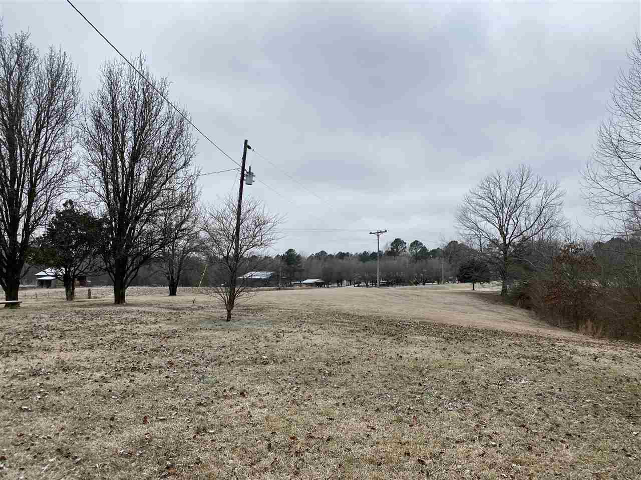 508 Gilchrist Stantonville Road Adamsville, TN 38310 - Photo 22 of 25 Gallery Image 22