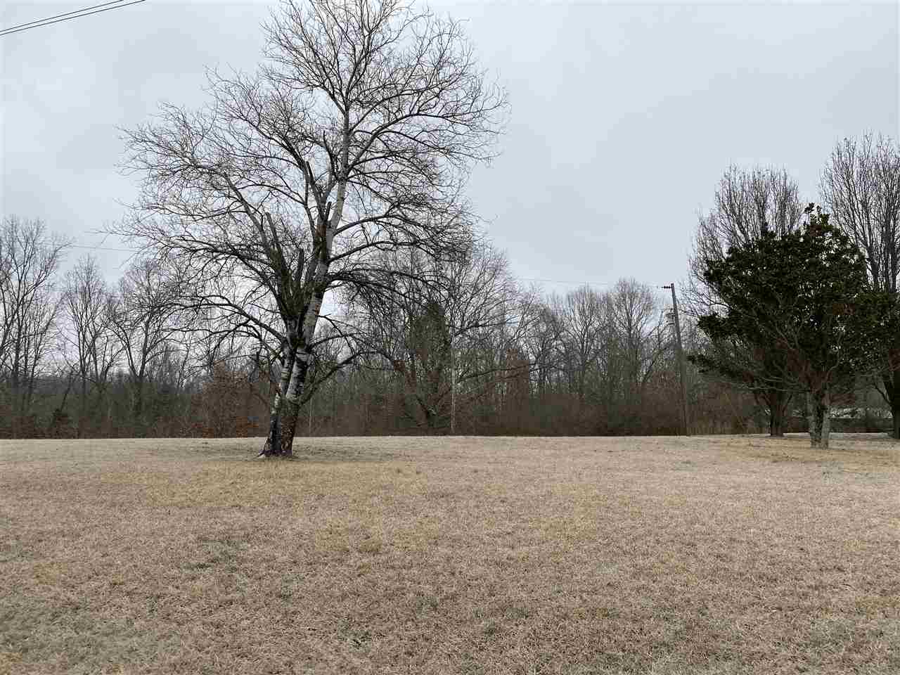 508 Gilchrist Stantonville Road Adamsville, TN 38310 - Photo 23 of 25 Gallery Image 23
