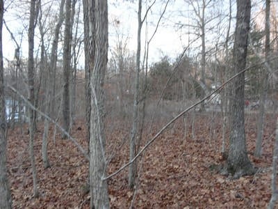Anderson Estates Road Lewisburg, WV 24901 - Photo 14 of 17 Gallery Image 14