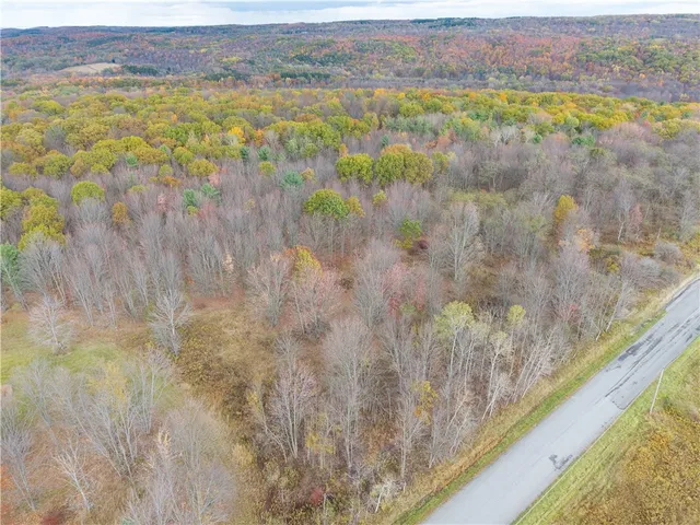 $79,900 | Camel Road, Conesus, NY 14435
