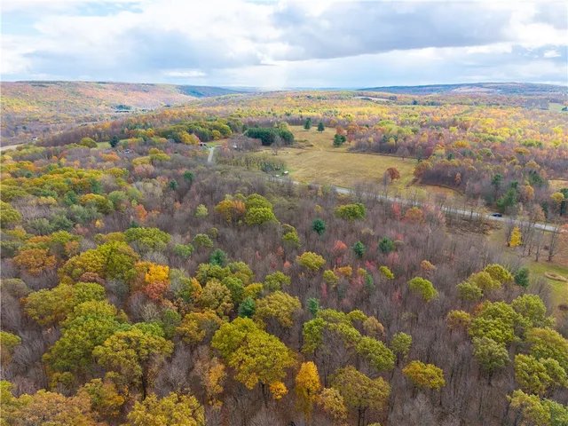 $79,900 | Camel Road, Conesus, NY 14435
