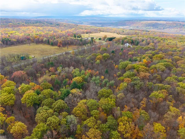$79,900 | Camel Road, Conesus, NY 14435