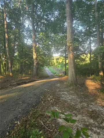 a view of a yard with lots of green space