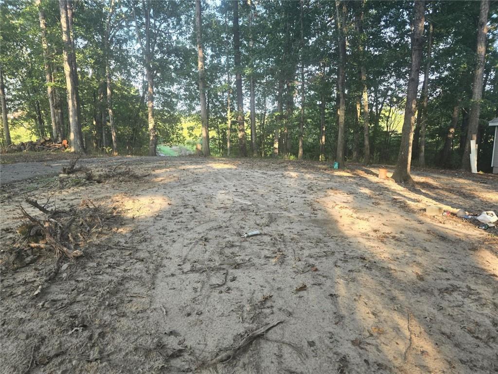 3738 Harmony Church Road Gainesville, GA 30507 - Photo 9 of 12 a view of outdoor space with trees