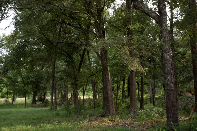 $290,000 | 1202 County Road 2255, Grapeland, TX 75844