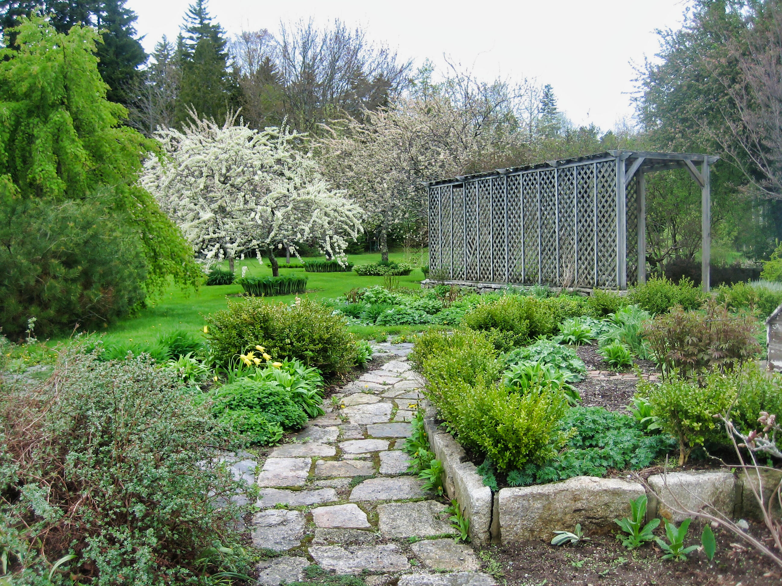 251 Reach Road Sedgwick, ME 04676 - Photo 43 of 48 Stone path and orchard