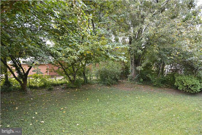 2106 Reedie Drive Silver Spring, MD 20902 - Photo 22 of 28 Back yard