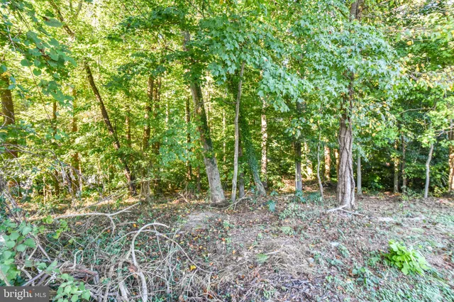 a view of outdoor space and trees