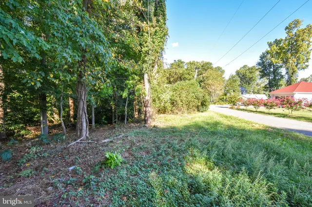 a view of backyard with green space
