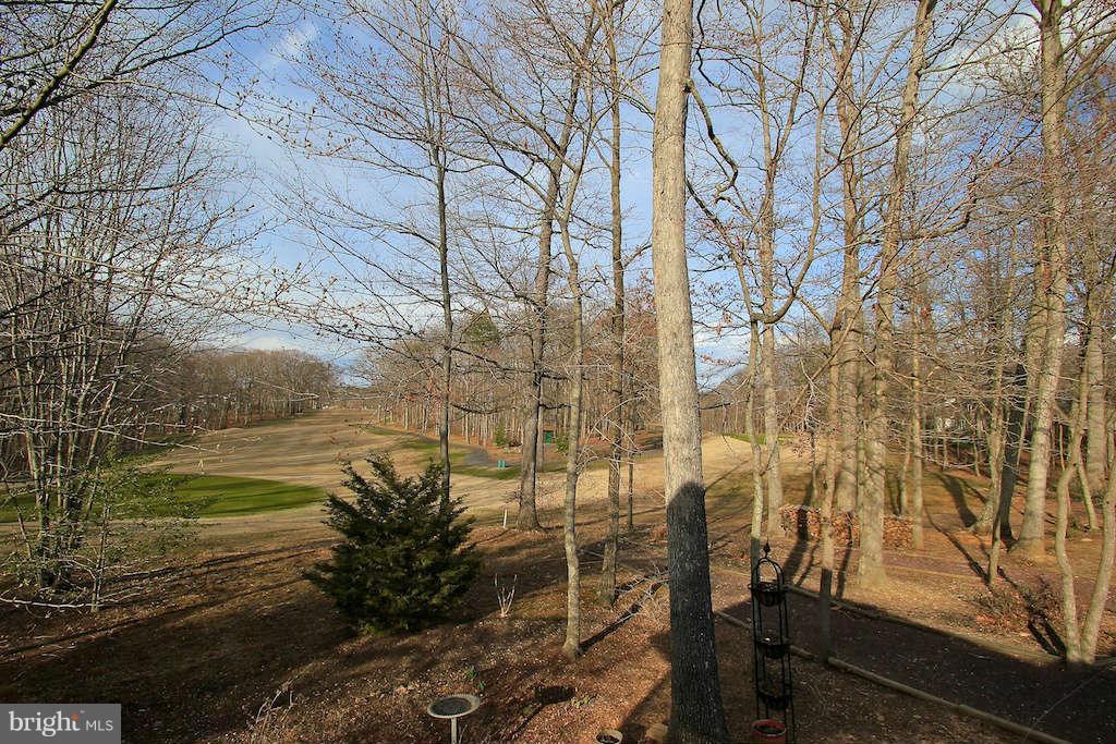 209 Gold Valley Road Locust Grove, VA 22508 - Photo 21 of 30 View