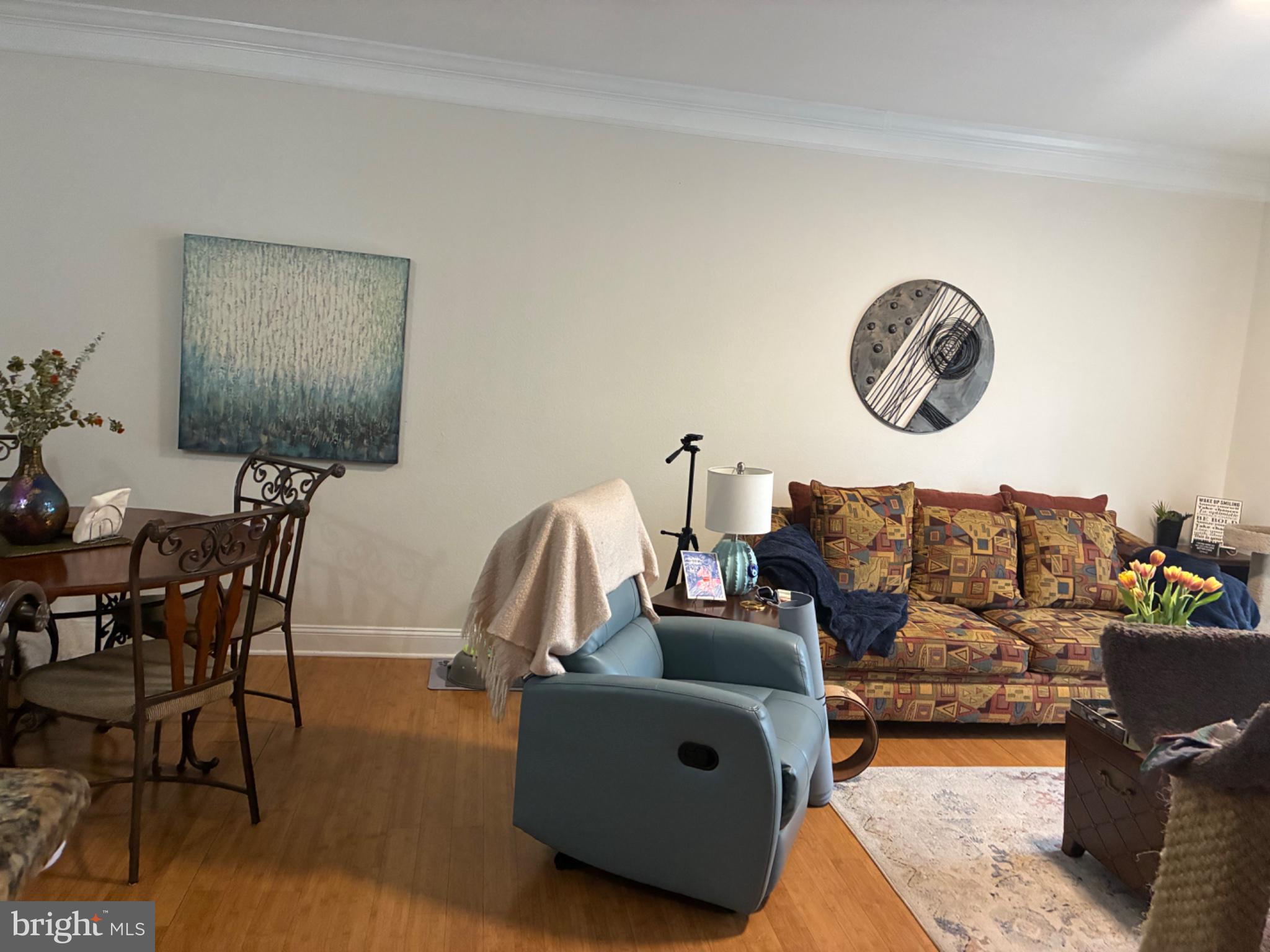 1571 Spring Gate Dr., Unit 6206 McLean, VA 22102 - Photo 11 of 26 Cozy living space with artistic flair.