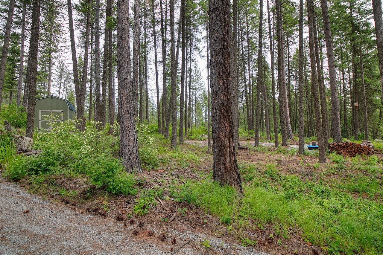 8691 Fertile Valley Road Newport, WA 99156 - Photo 13 of 17