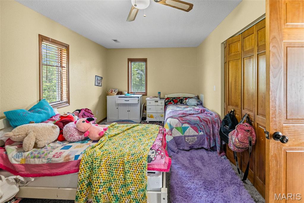 475 Southeast 900 Avenue Rockbridge, IL 62081 - Photo 38 of 56