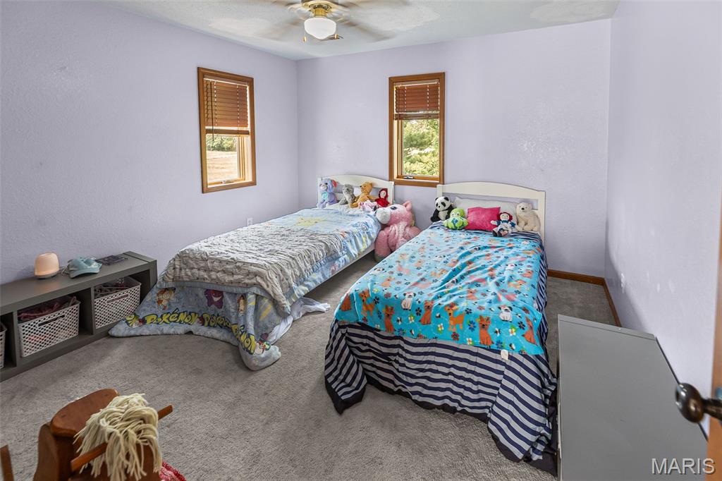 475 Southeast 900 Avenue Rockbridge, IL 62081 - Photo 40 of 56