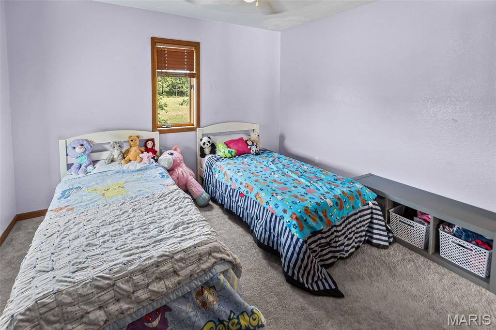 475 Southeast 900 Avenue Rockbridge, IL 62081 - Photo 41 of 56