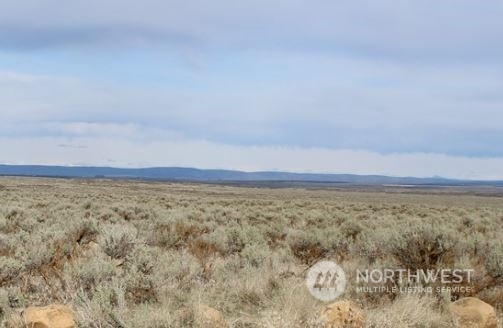 0 Xy Eagle Bluff Road Northeast Marlin, WA 98832 - Photo 4 of 5 Gallery Image 4