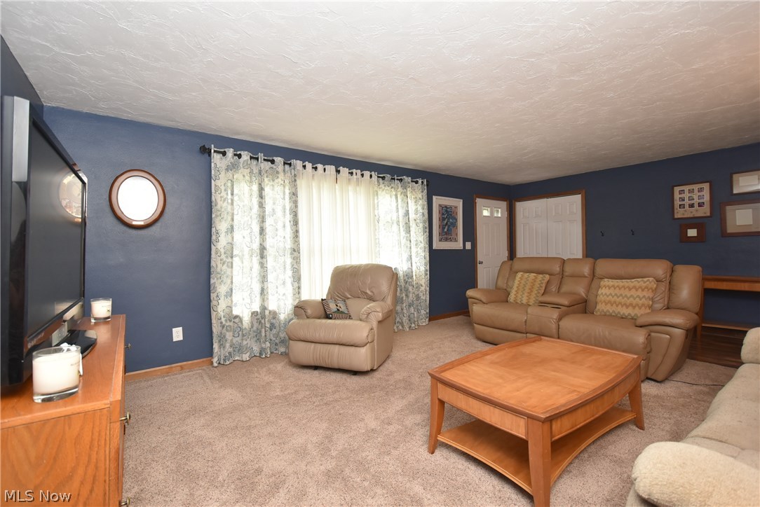 40134 Parsons Road Lagrange, OH 44050 - Photo 3 of 26 Gallery Image 3