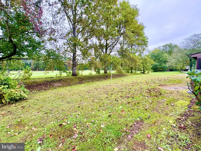 a view of a yard with a tree