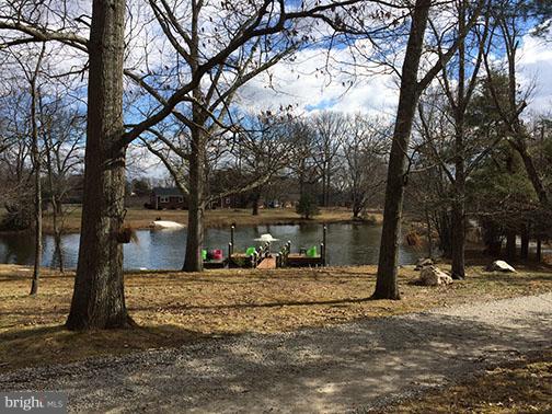 6226 Dana Avenue Springfield, VA 22150 - Photo 21 of 21 Exterior (Rear)
