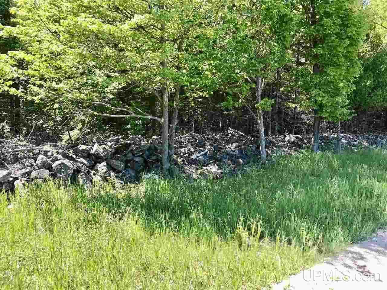 75 Gg 75 Road, Unit G SOUTH Garden, MI 49835 - Photo 13 of 14