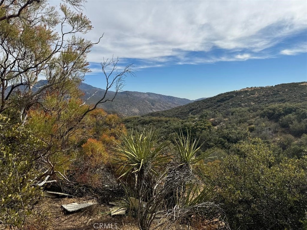 0 Table Mountain Truck Trail Anza, CA 92539 - Photo 11 of 38 a view of a yard