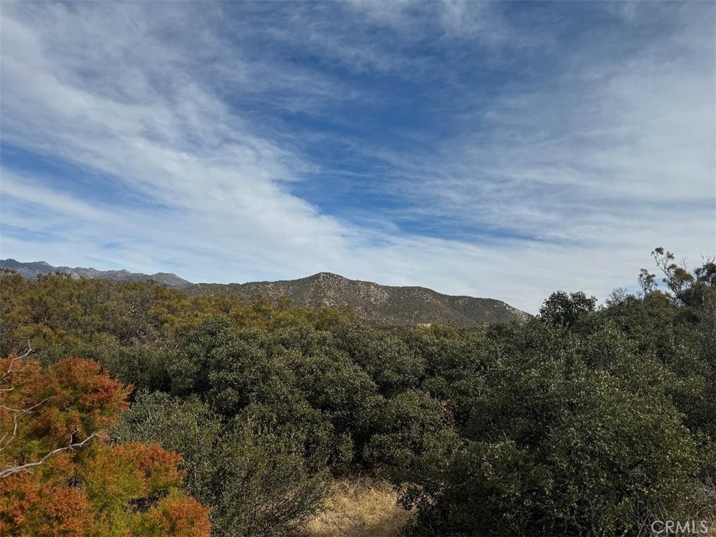 0 Table Mountain Truck Trail Anza, CA 92539 - Photo 12 of 38 a view of a mountain range with trees