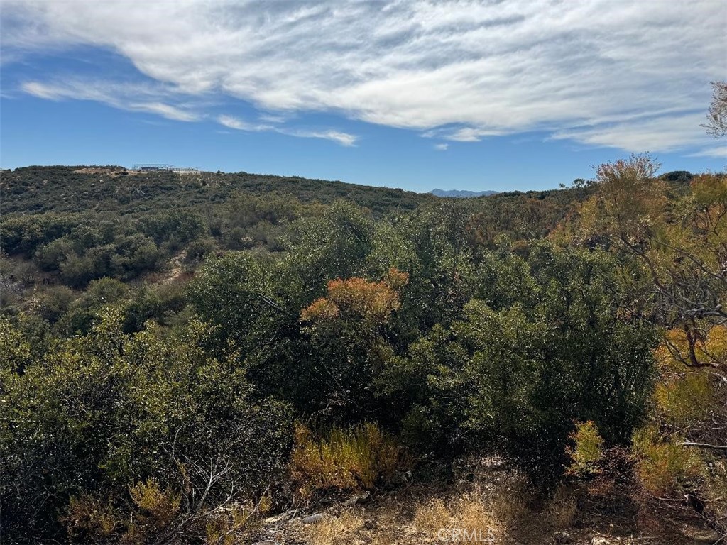0 Table Mountain Truck Trail Anza, CA 92539 - Photo 13 of 38 a view of a lake in middle of forest