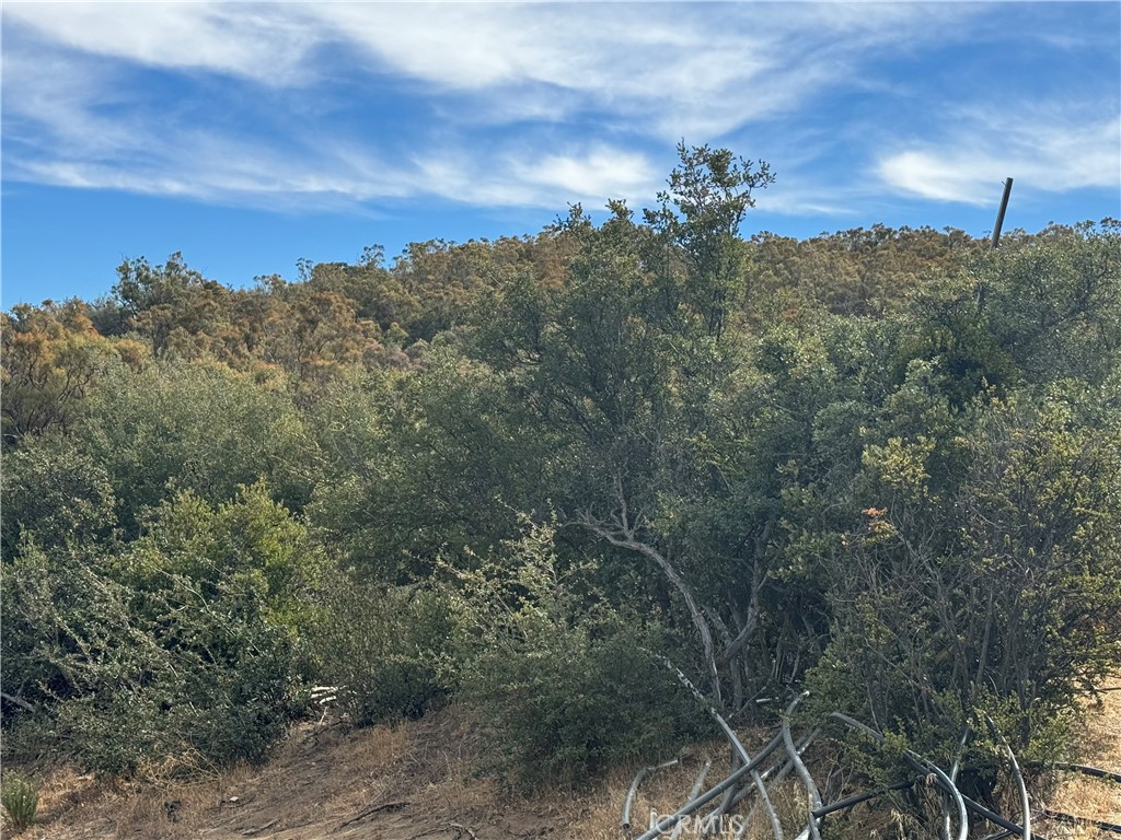 0 Table Mountain Truck Trail Anza, CA 92539 - Photo 14 of 38