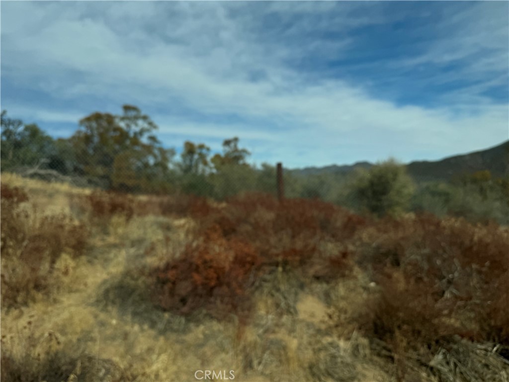 0 Table Mountain Truck Trail Anza, CA 92539 - Photo 17 of 38 a view of a bunch of trees in a field