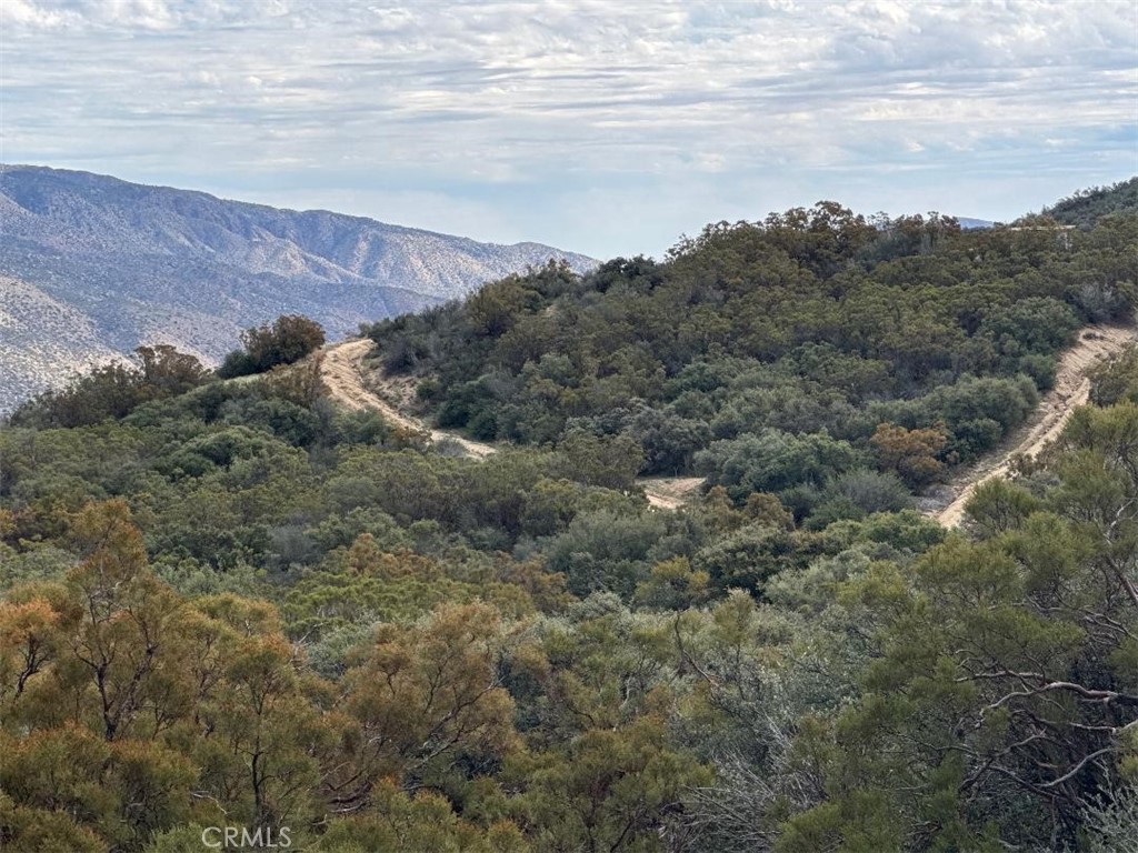 0 Table Mountain Truck Trail Anza, CA 92539 - Photo 34 of 38 an aerial view of house with green space and fog