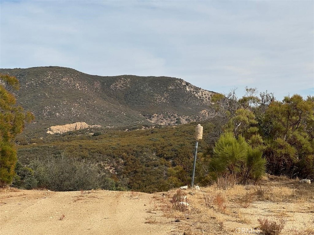 0 Table Mountain Truck Trail Anza, CA 92539 - Photo 6 of 38 a view of a dry yard