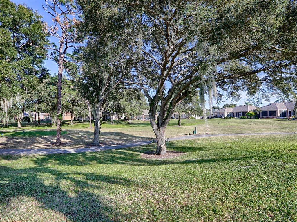 13007 Southeast 90th Court Road Summerfield, FL 34491 - Photo 45 of 78 View of Golf Course