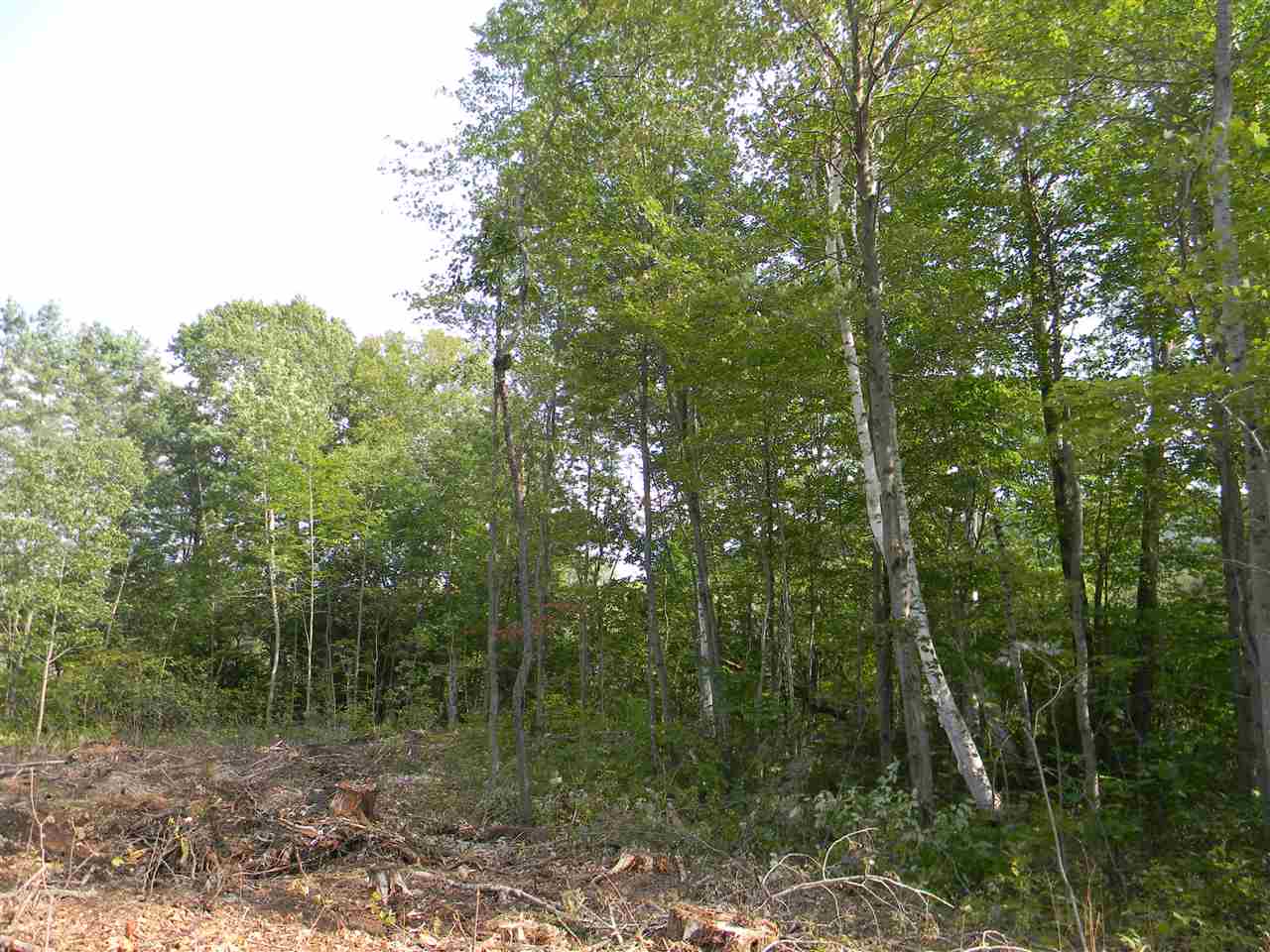 22-25 Meacham Road Stark, NH 03582 - Photo 12 of 28