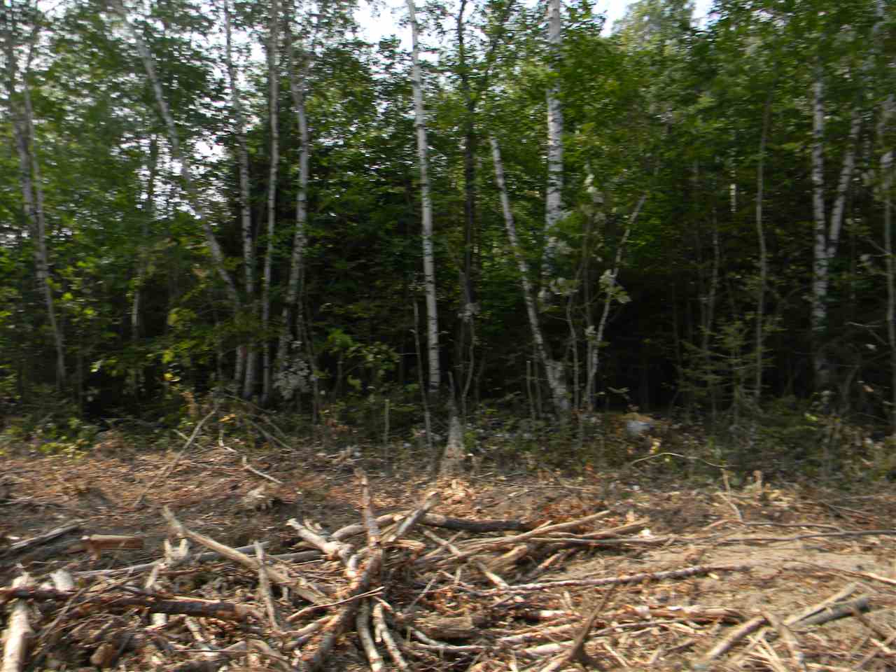 22-25 Meacham Road Stark, NH 03582 - Photo 14 of 28
