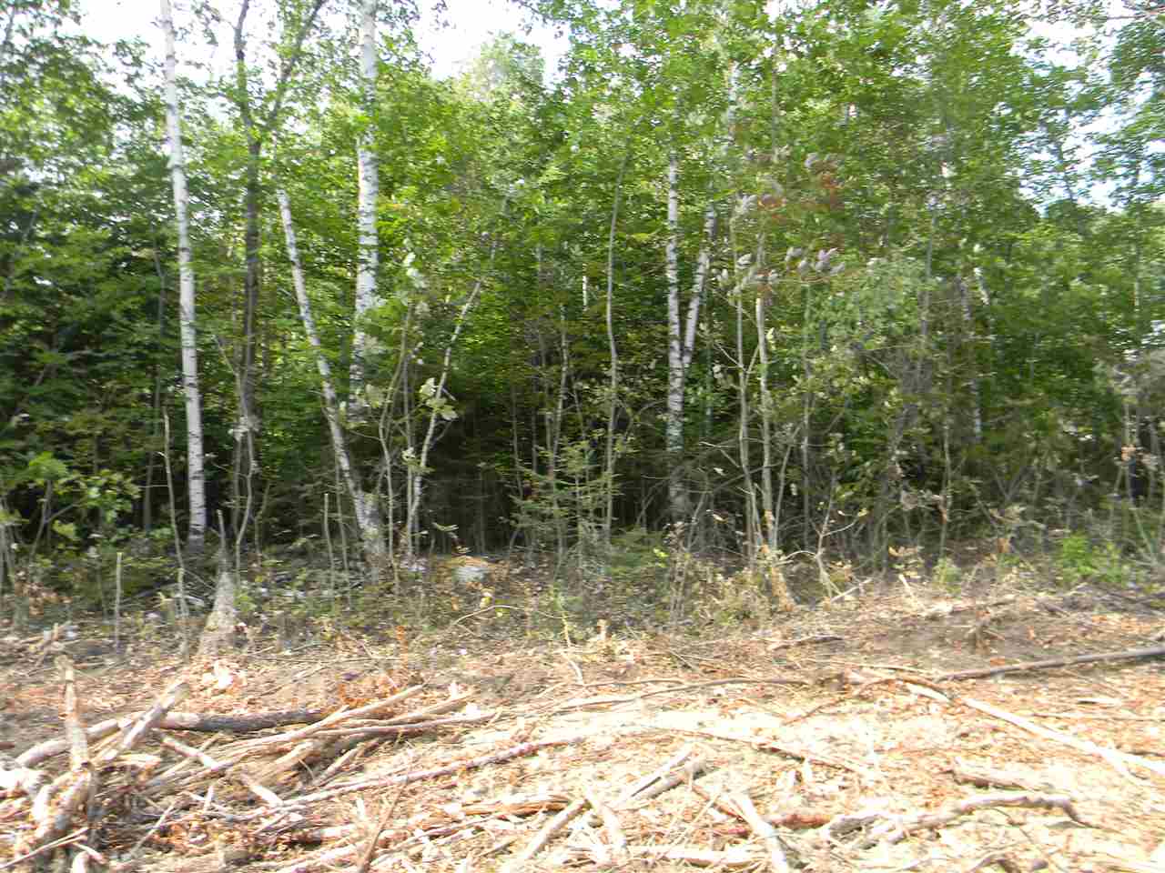 22-25 Meacham Road Stark, NH 03582 - Photo 15 of 28