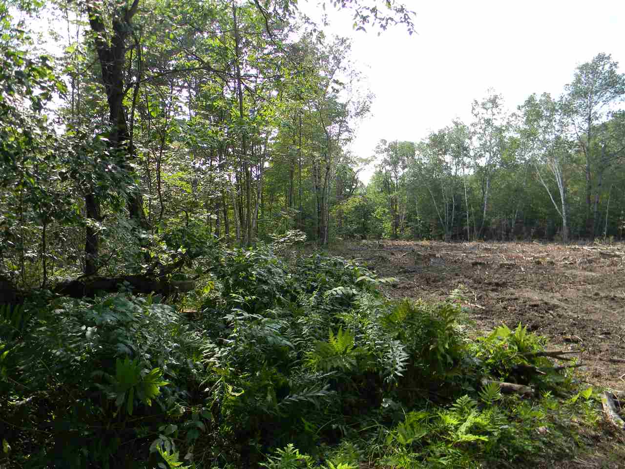 22-25 Meacham Road Stark, NH 03582 - Photo 18 of 28
