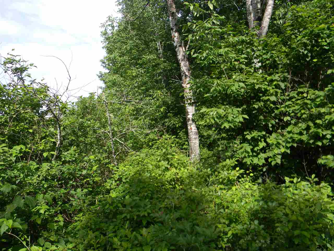 22-25 Meacham Road Stark, NH 03582 - Photo 5 of 28