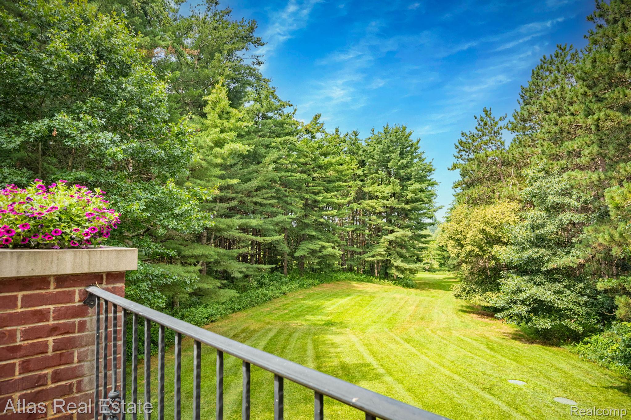 10380 South State Road Goodrich, MI 48438 - Photo 13 of 87 Expansive green lawn bordered by mature trees