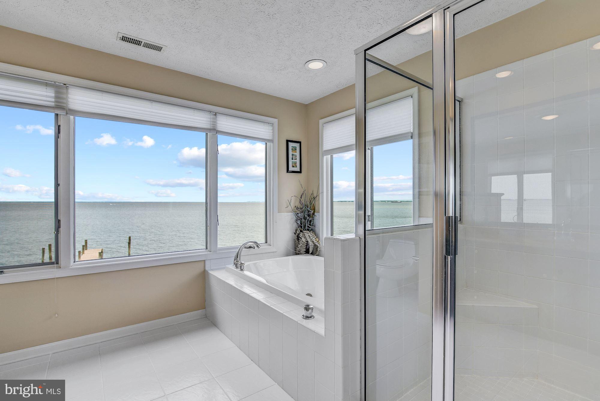 2133 Beach Haven Road Annapolis, MD 21409 - Photo 28 of 40 Walk-in Shower and Jetted Tub