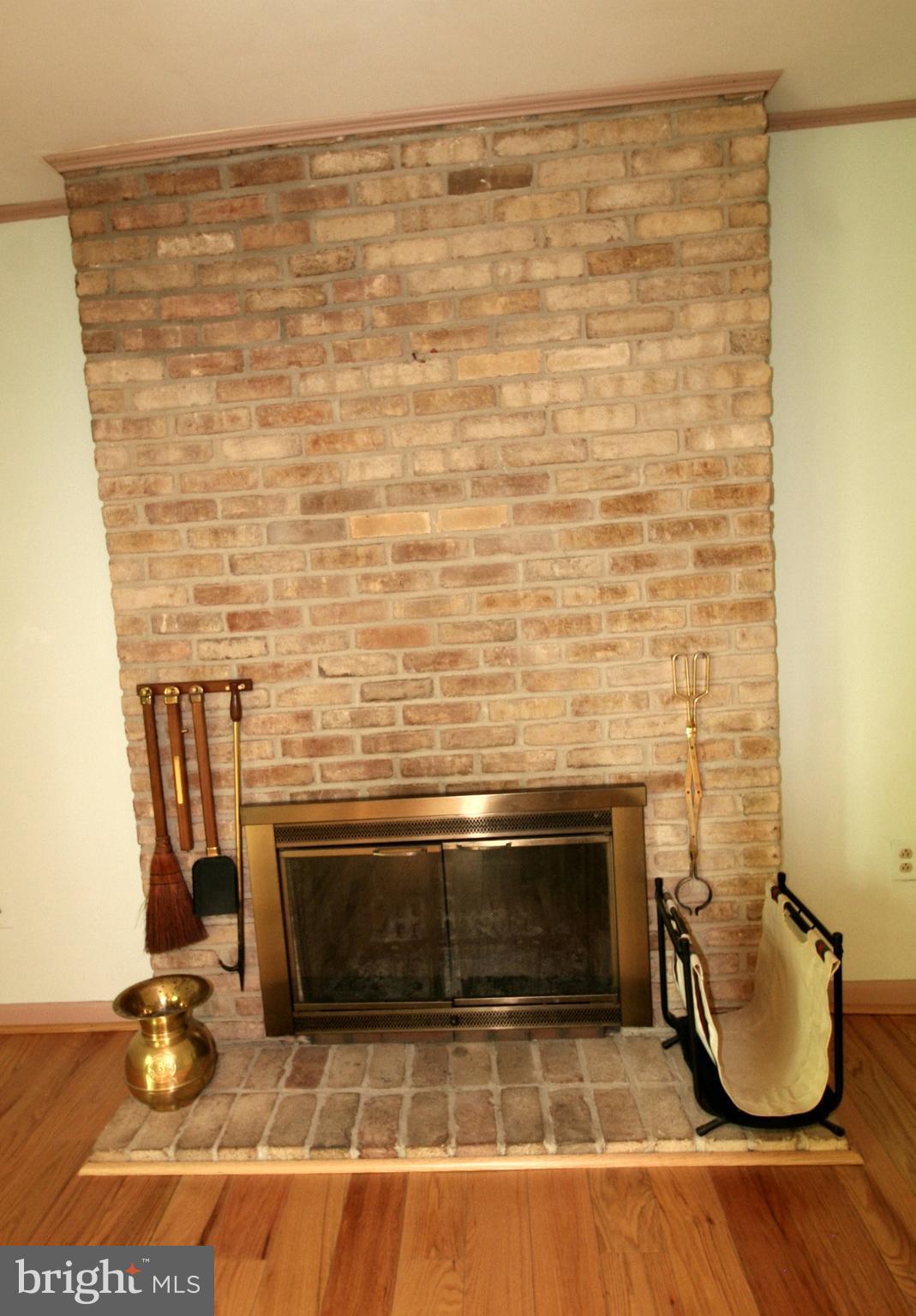 9453 Kilimanjaro Road Columbia, MD 21045 - Photo 19 of 41 Masonry wood-burning fireplace accents Family Room