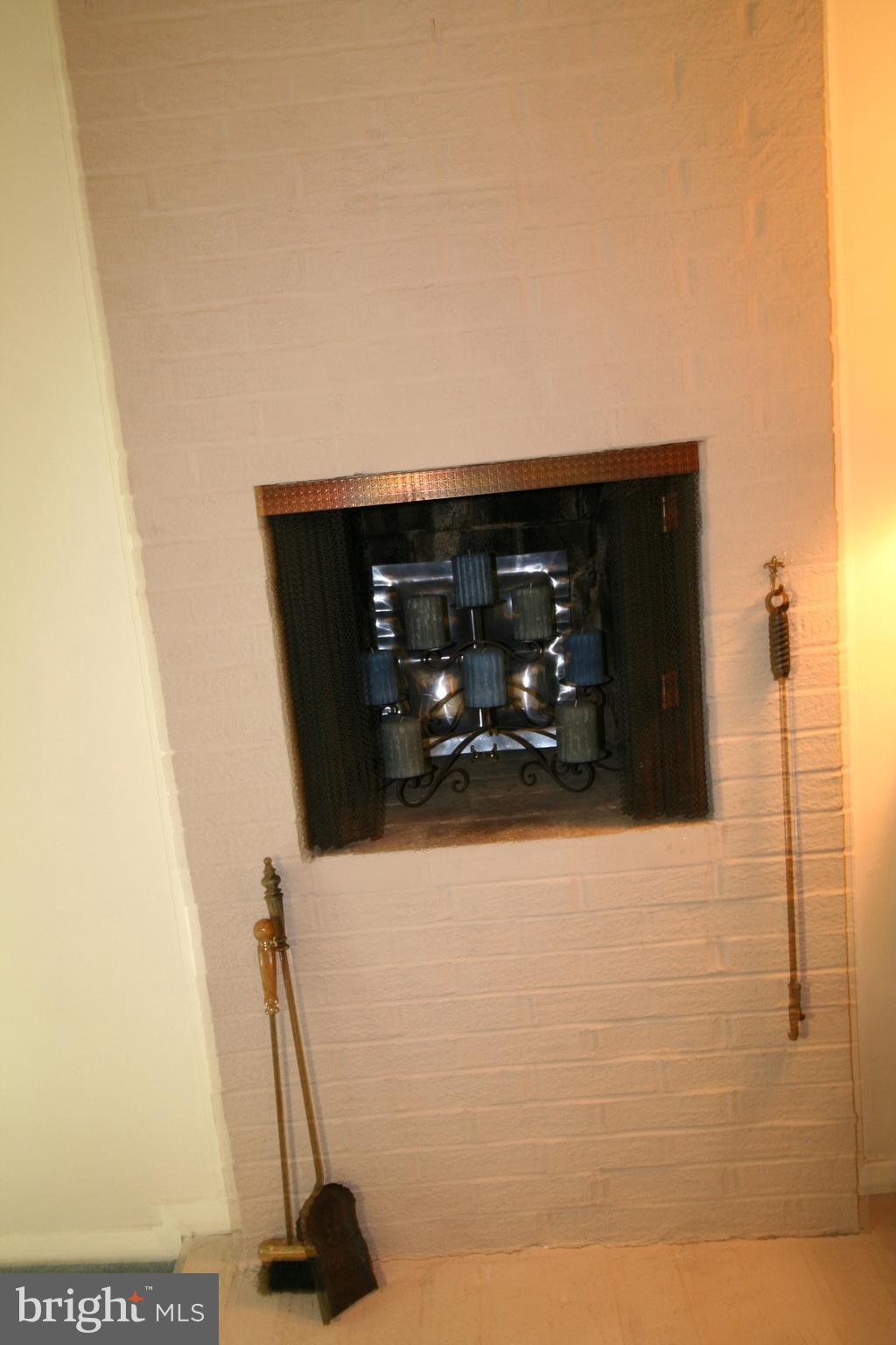 9453 Kilimanjaro Road Columbia, MD 21045 - Photo 22 of 41 Personal fireplace in primary bedroom