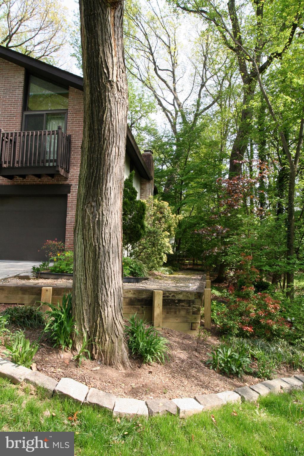 9453 Kilimanjaro Road Columbia, MD 21045 - Photo 5 of 41 Custom natural walkway to the backyard
