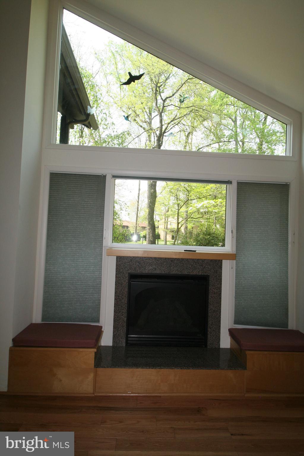 9453 Kilimanjaro Road Columbia, MD 21045 - Photo 9 of 41 Gas fireplace & custom window showcase this room