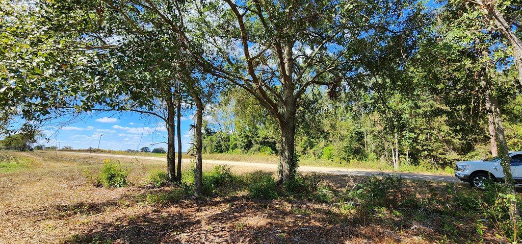 92 County Road 92 Slocomb, AL 36375 - Photo 8 of 32
