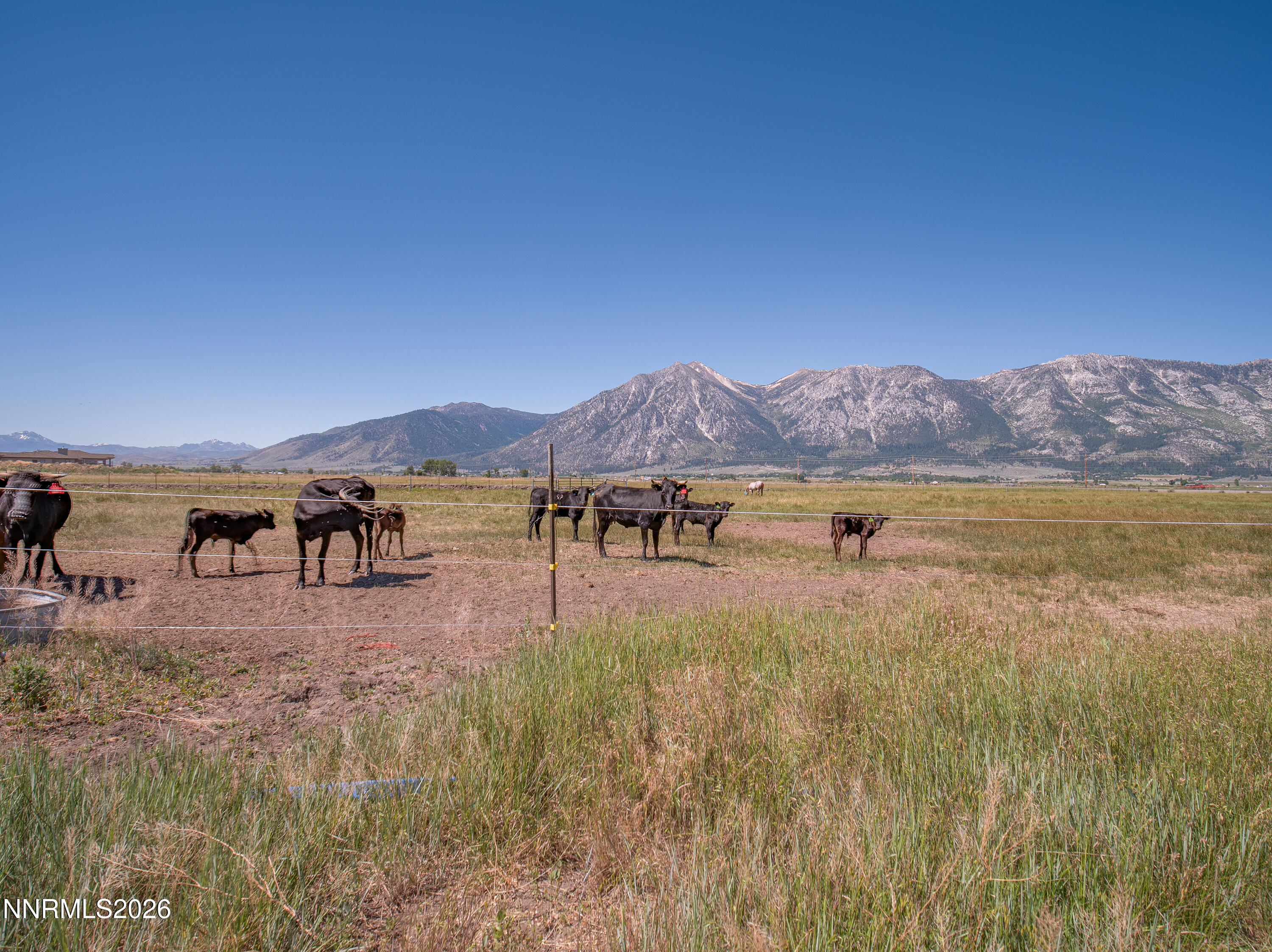 1225 Highway 88 Gardnerville, NV 89460 - Photo 9 of 25 Photo-2